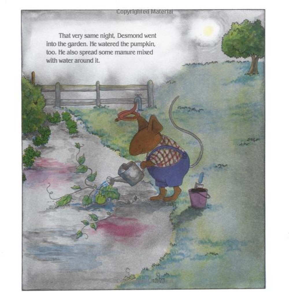 Book Layout Design